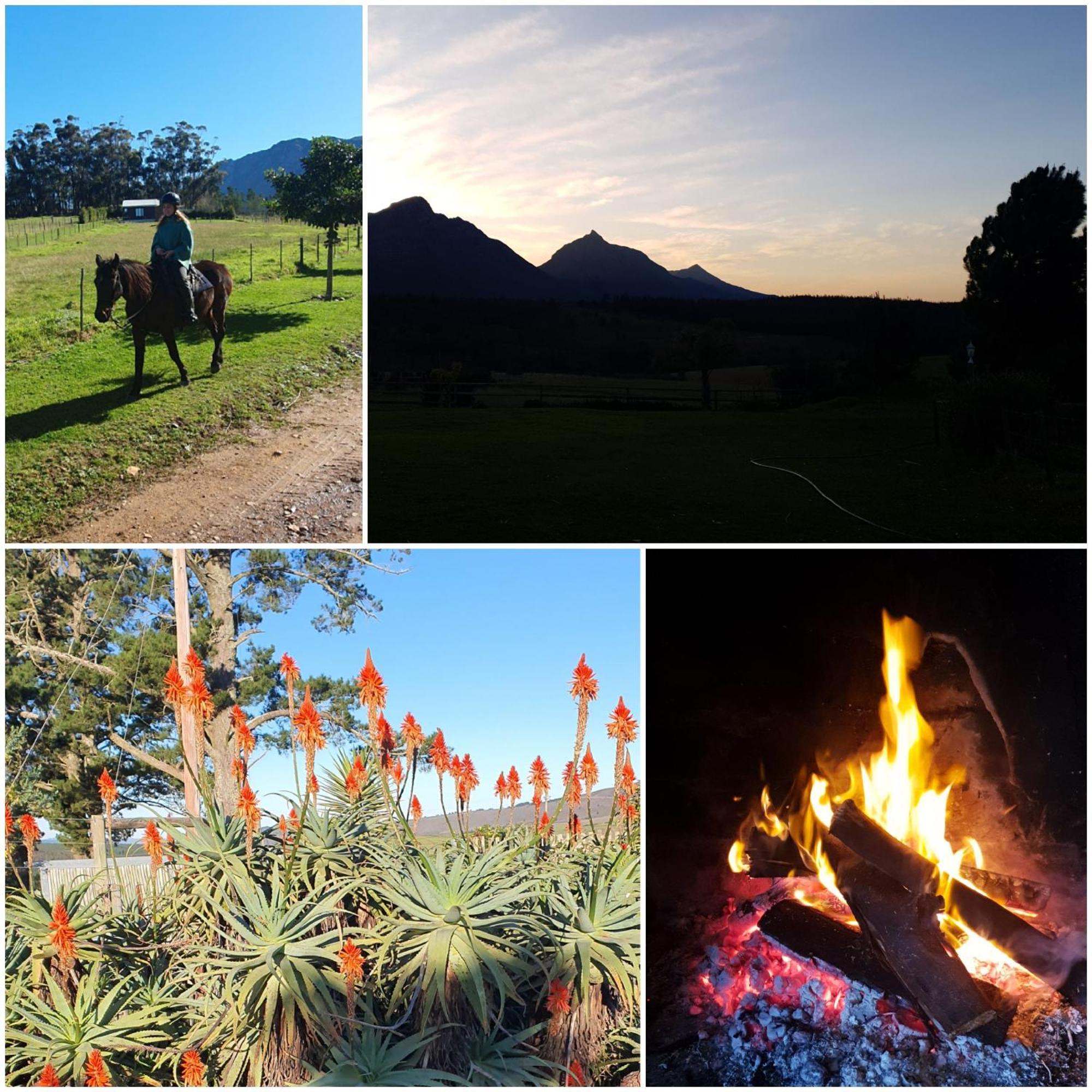 Oudebosch Guest Farm Villa ริเวอร์สเดล ภายนอก รูปภาพ